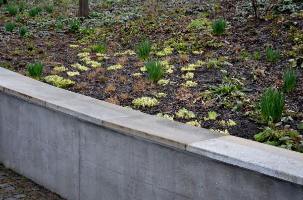 Concrete Wall Construction in Bloomington