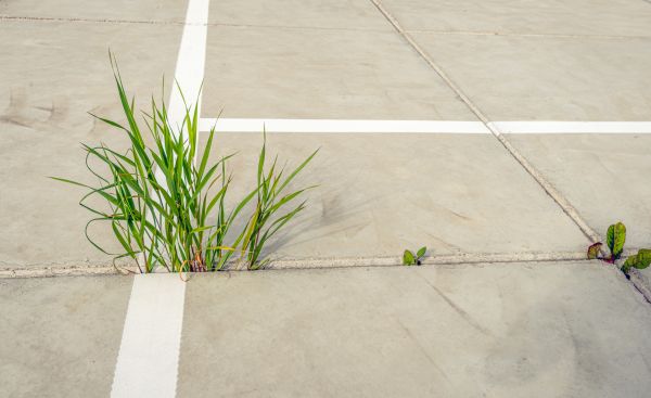 Concrete Parking Installation in Bloomington