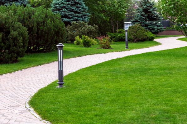 Backyard Sidewalk Installation in Bloomington