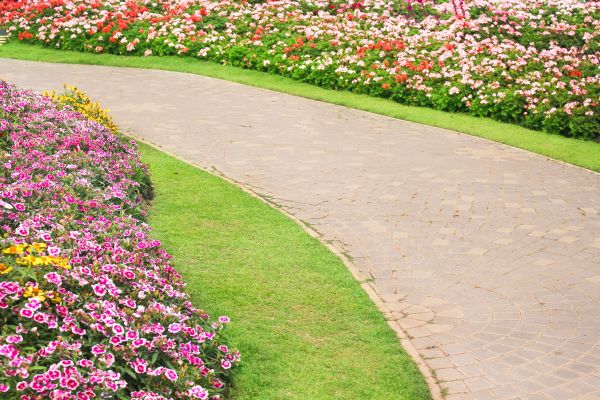 Concrete Walkway Service in Bloomington