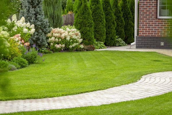 Landscape Walkway Installation in Bloomington
